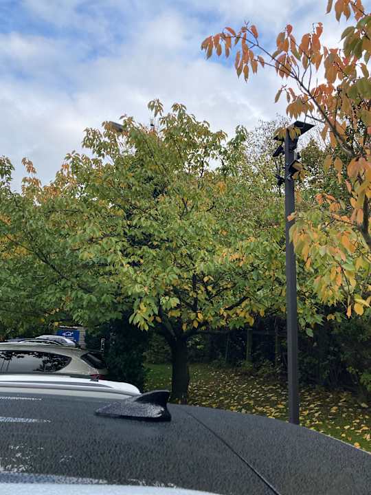 Ausblick Best Western Hotel Windorf