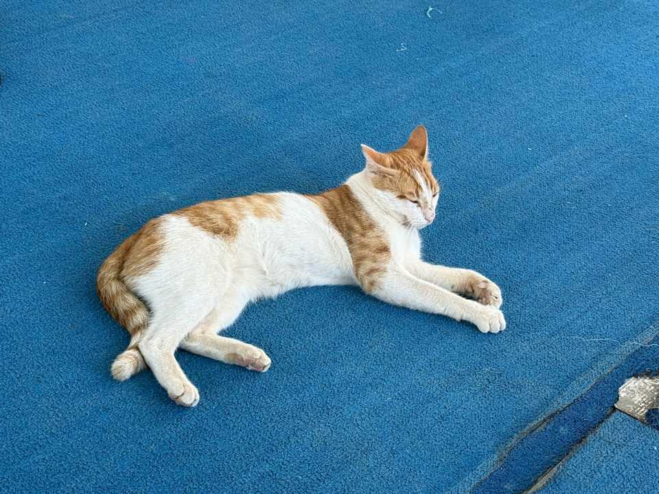 Sonstiges Nerton Hotel - Erwachsenenhotel ab 16 Jahren