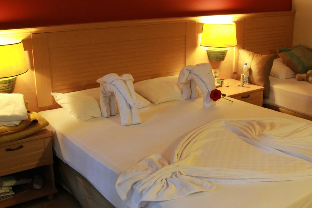 Nett  Grand Yazici Club Marmaris Palace