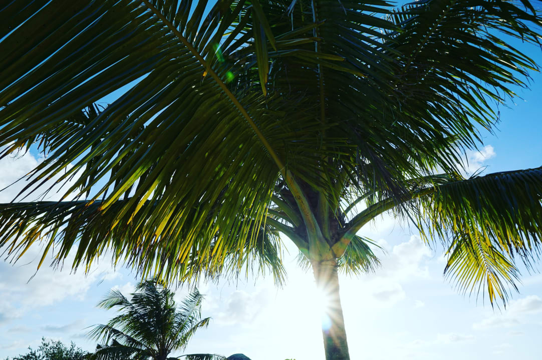 Gartenanlage Adaaran Select Hudhuran Fushi - Premium All Inclusive