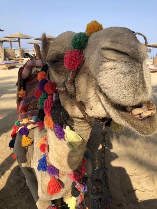 Strand Casa Mare Resort