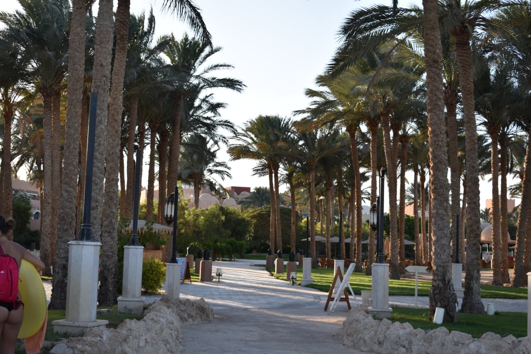 Gartenanlage Makadi Palace