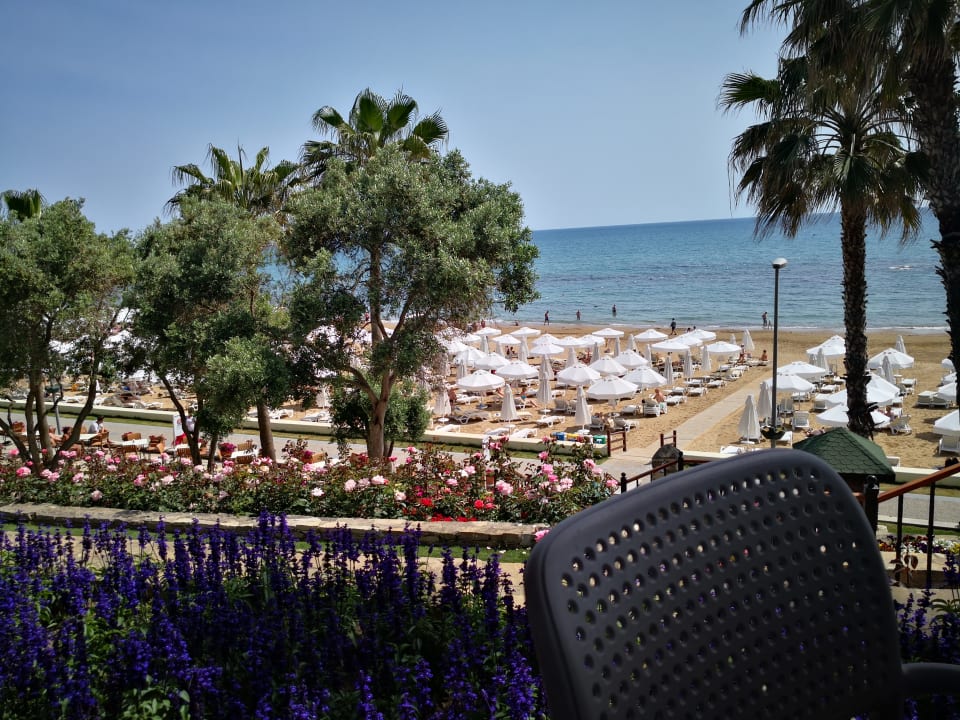 Ausblick Arum Barut Collection