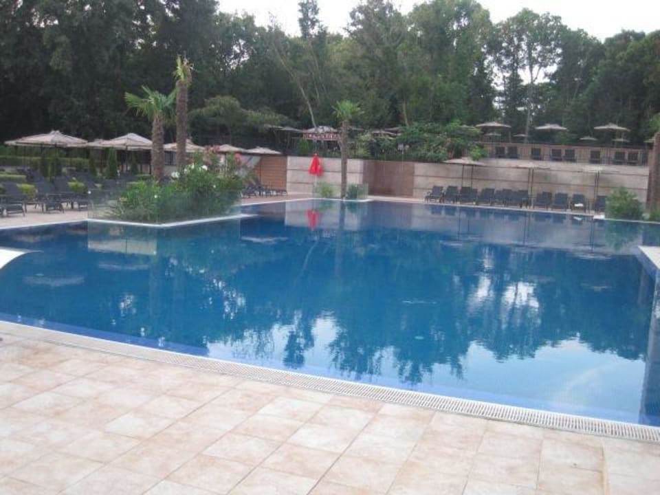 Aktionpool SH Dolce Vita