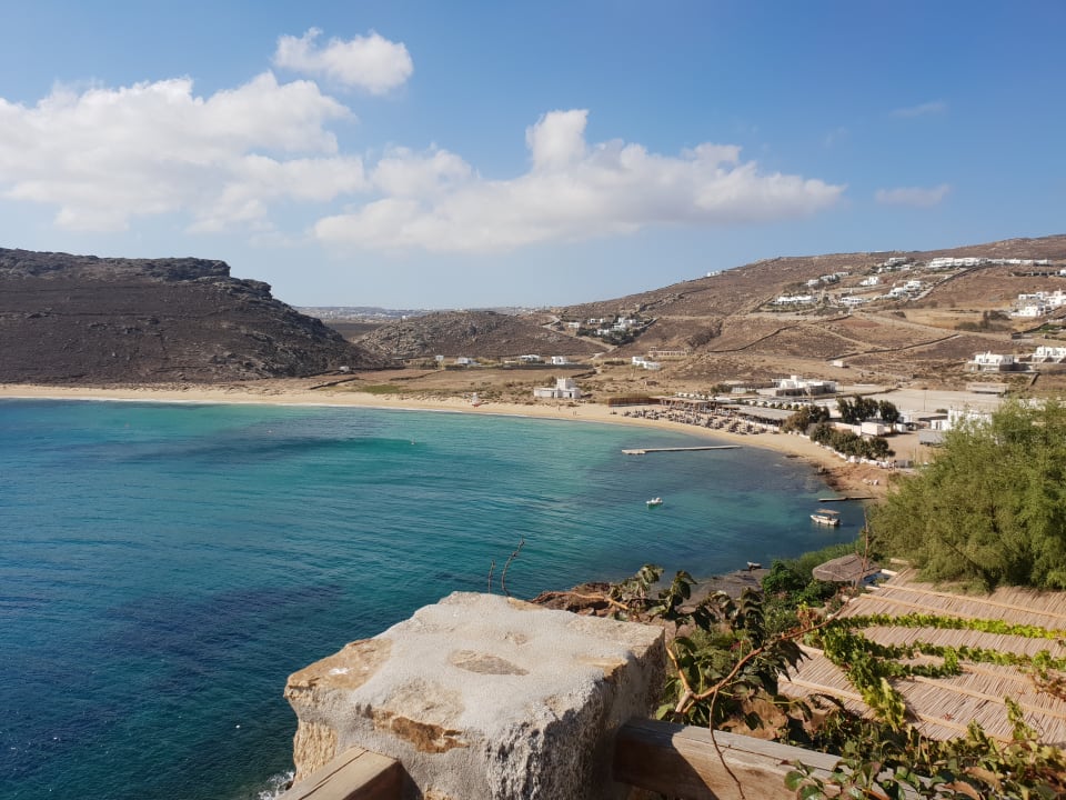 Strand Albatros