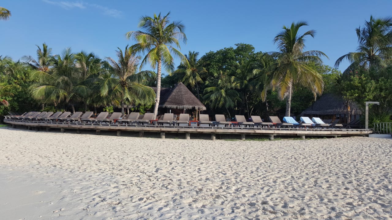 Pool Kuredu Island Resort & Spa