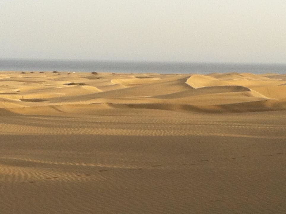 Blick auf die Dünen Hotel Riu Palace Maspalomas Adults Only