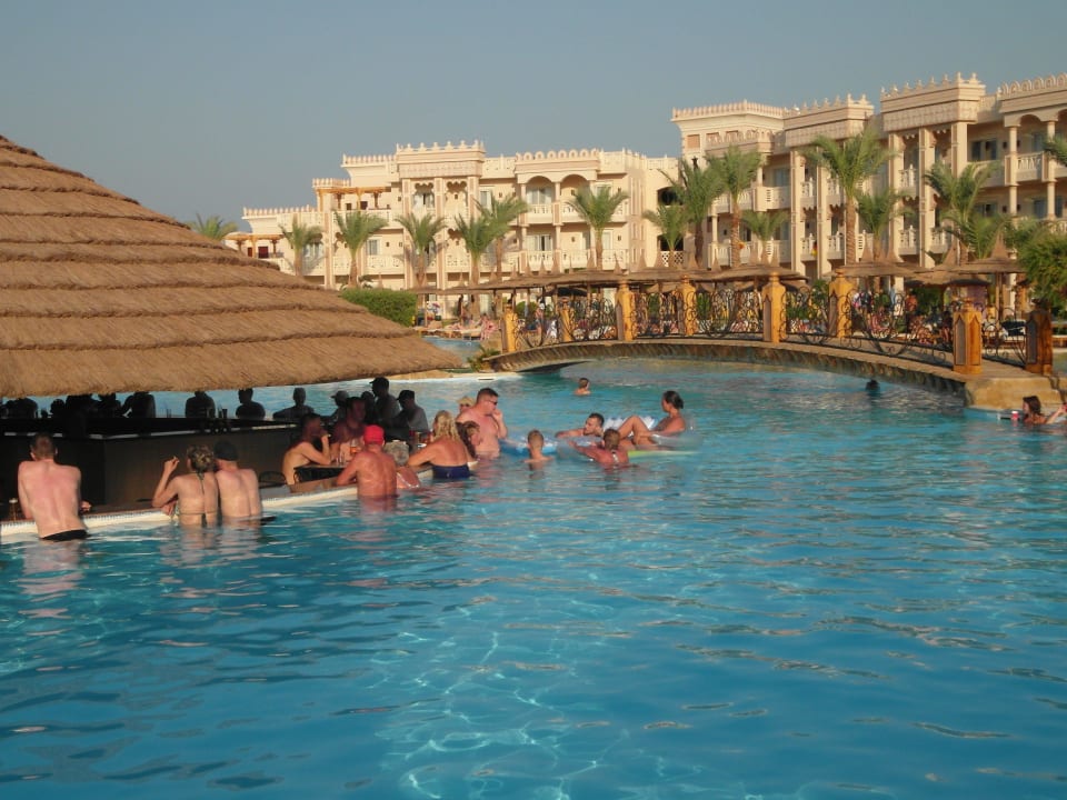 Poolbar  Pickalbatros Palace Resort