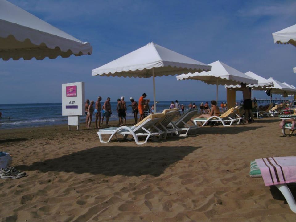 Blick von unserer Liege Arum Barut Collection