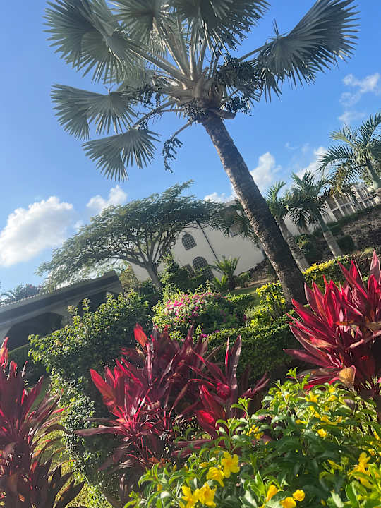 Gartenanlage Hotel Riu Palace Zanzibar