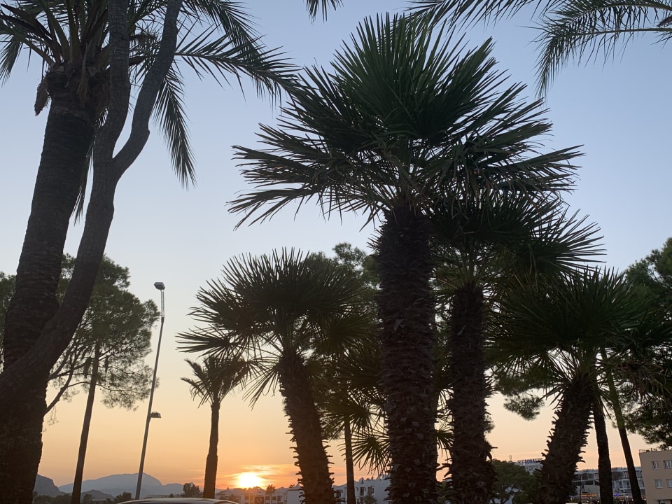 Gartenanlage Alcudia Garden Aparthotel