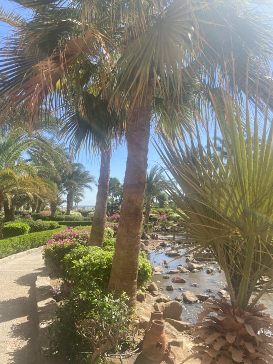 Außenansicht Mövenpick Resort & Spa El Gouna