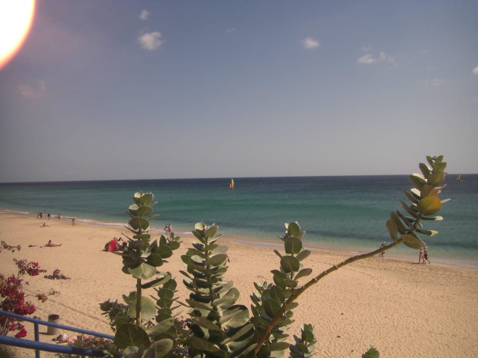 Was für eine Umgebung IFA Villas Altamarena