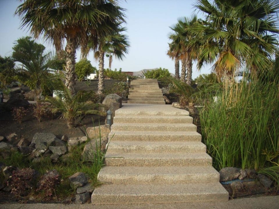 Gartenanlage Hotel THB Tropical Island