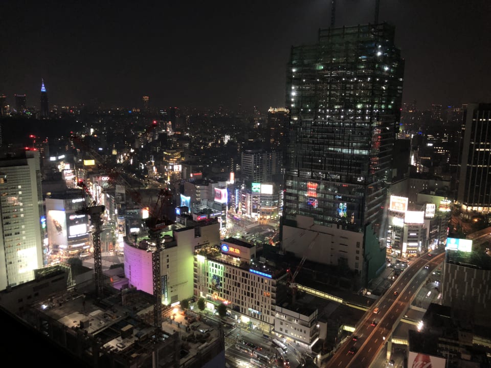 Ausblick Cerulean Tower Tokyu Hotel