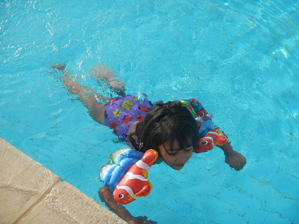 Dive in the pool Lemon & Soul Makadi Garden