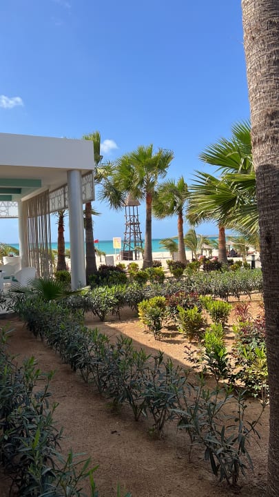 Ausblick Hotel Riu Palace Boavista
