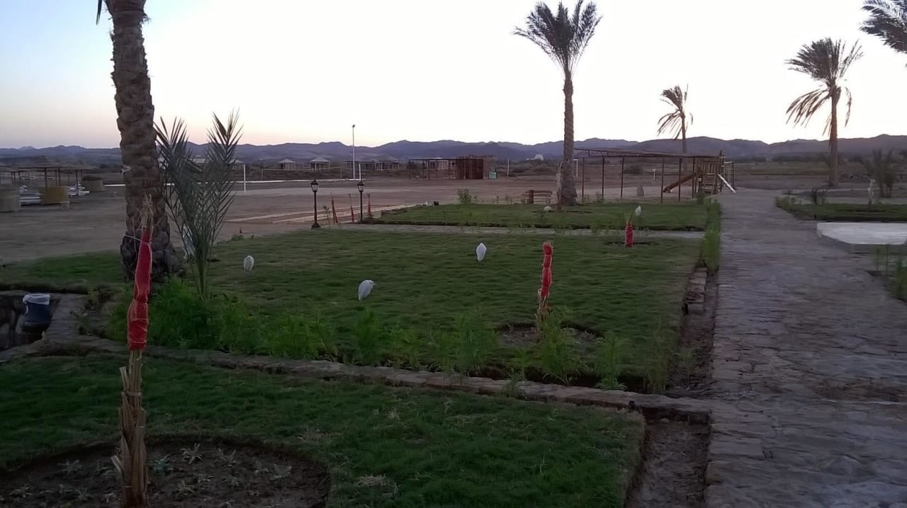 Selbst den Vögeln war es kalt Three Corners Equinox Beach Resort