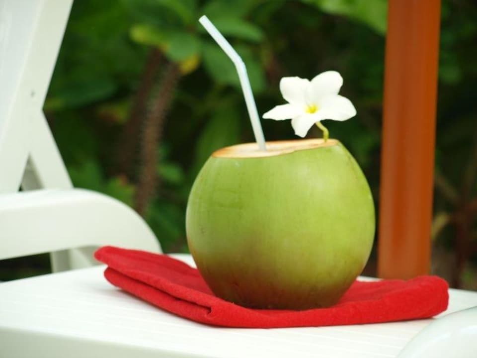 Sok ze świeżego kokosa Guesthouse Dacha Maldives