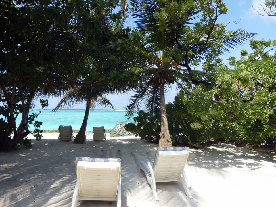 Superiorbungalow 229 Summer Island Maldives