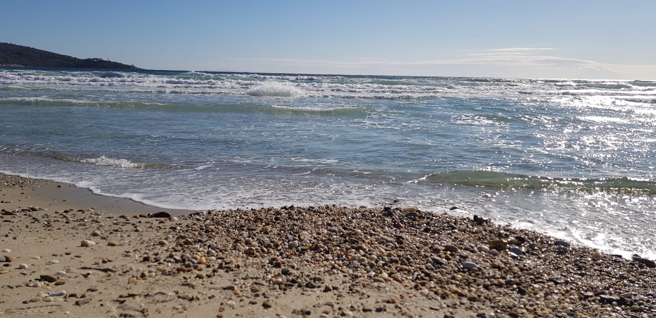 Strand Alexandra Golden Boutique - Adults only