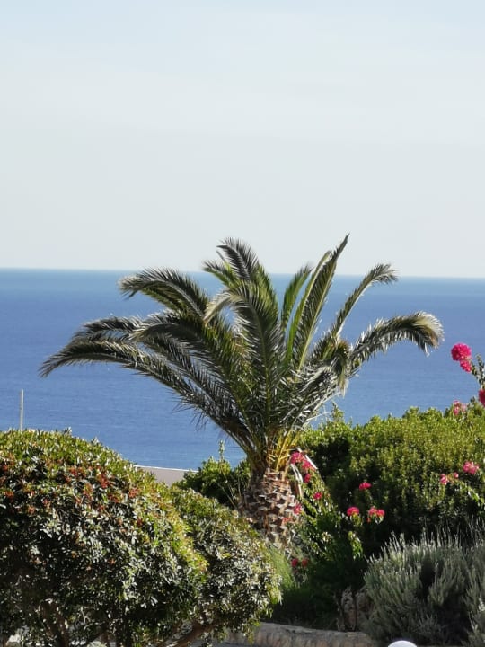 Ausblick Hotel Kalithea Horizon Royal