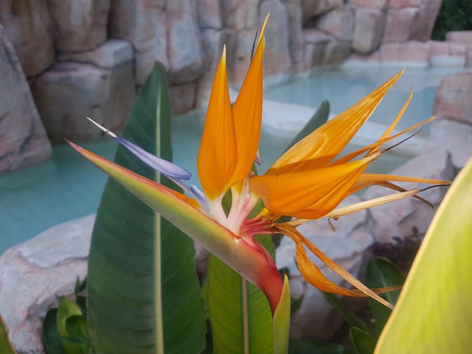 Gartenanlage Aydinbey Kings Palace & Spa