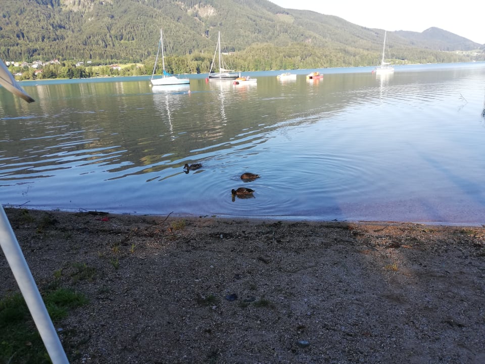 Strand Waldhof Fuschlsee Resort