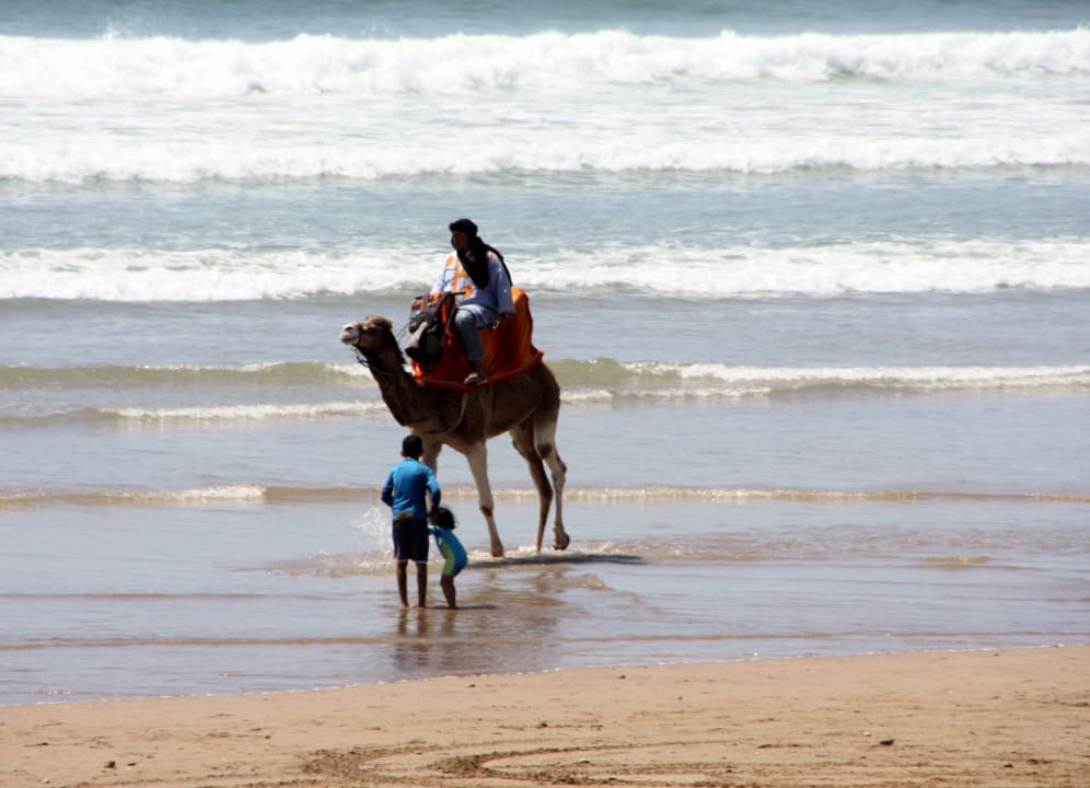 Strand Dunes D'or Ocean Club