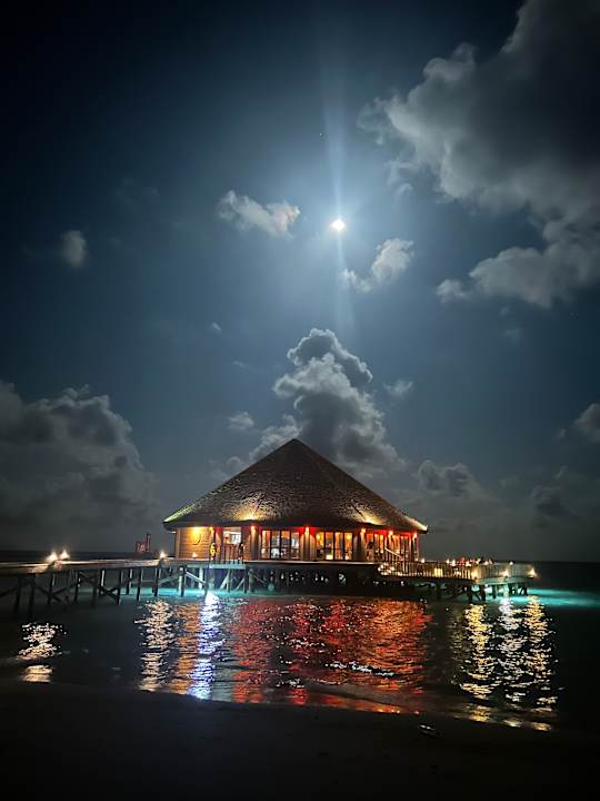 Gastro Vilamendhoo Island Resort & Spa