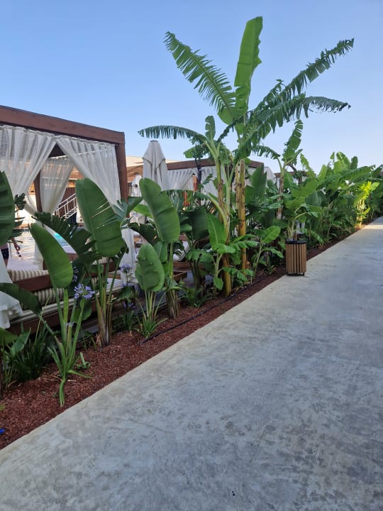 Pool Jacaranda Luxury Resort