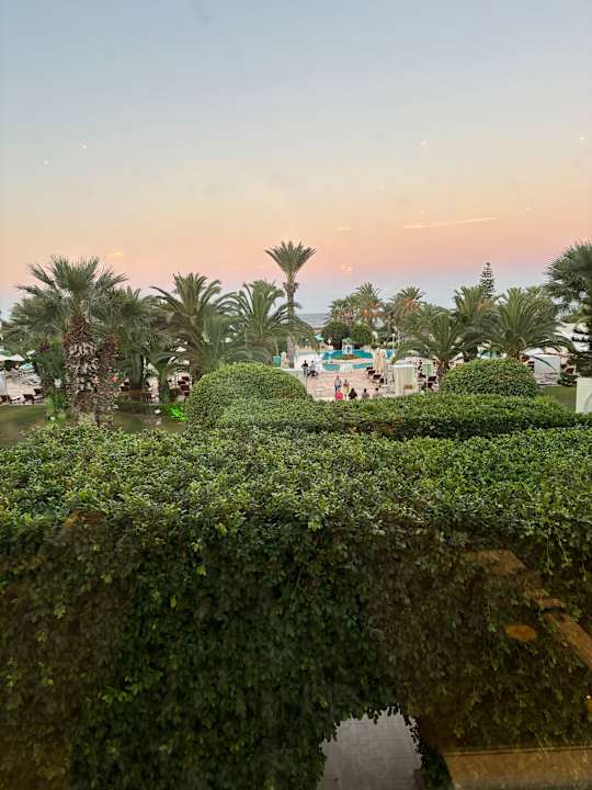 Pool Sentido Bellevue Park
