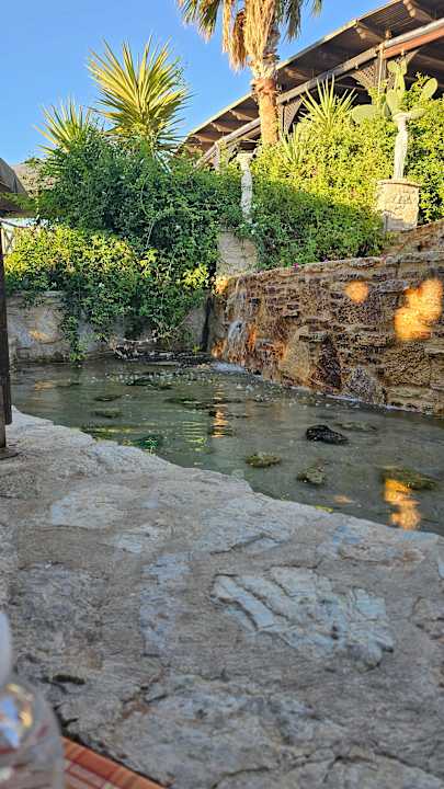 Gastro Hotel Kalithea Horizon Royal