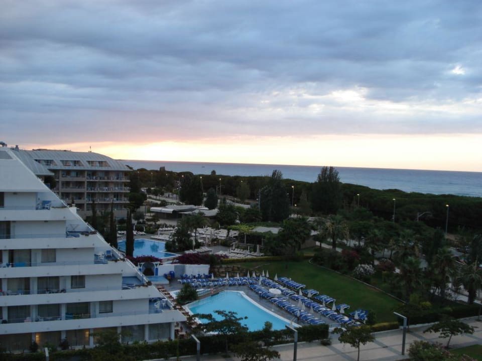 Wschod slonca ALEGRIA Caprici Verd