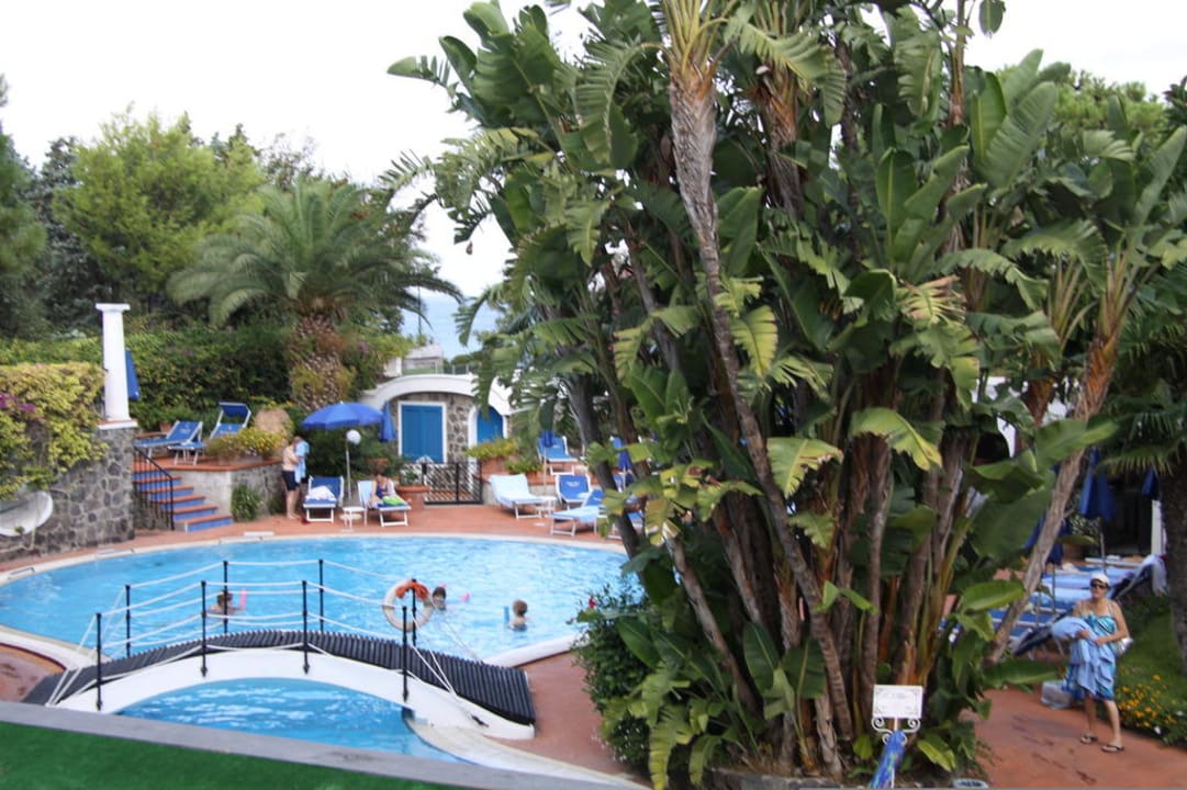 Этот бассейн считается большим Hotel Il Moresco Terme