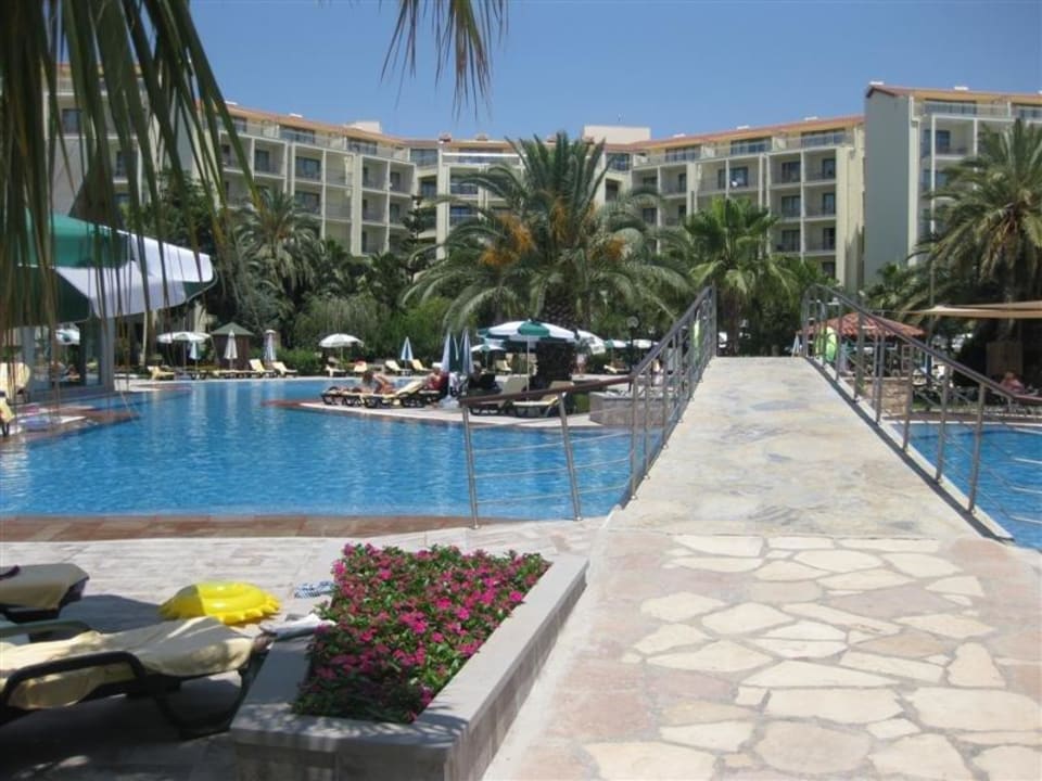 Am Pool Arum Barut Collection