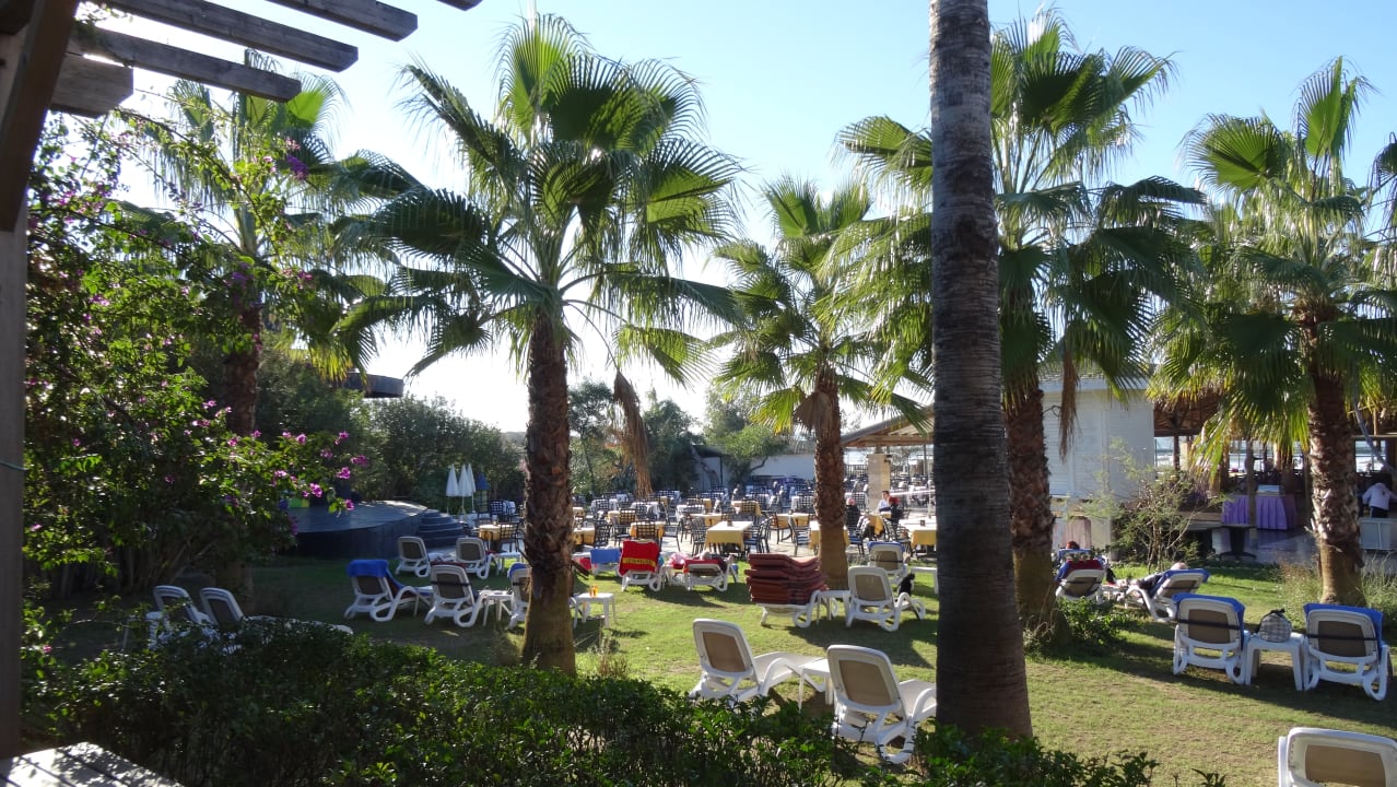 Gartenanlage Hotel Oleander