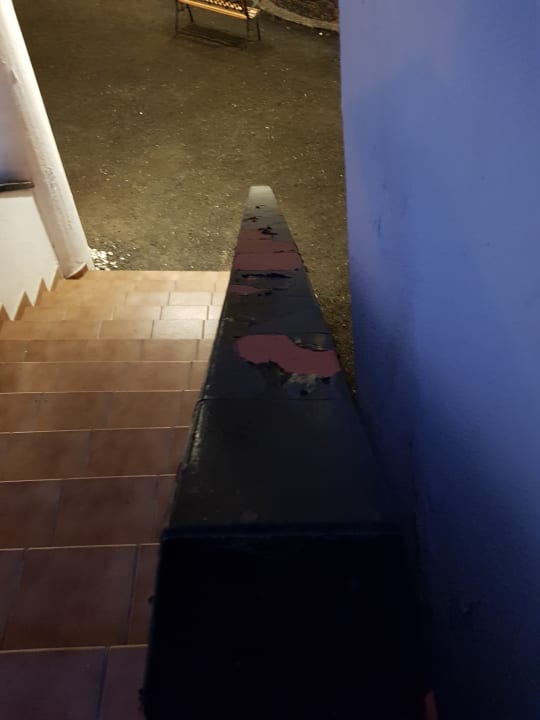 Gartenanlage Melia La Palma Hotel