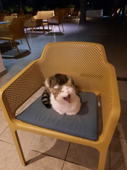 Gastro Hotel Costa Calero