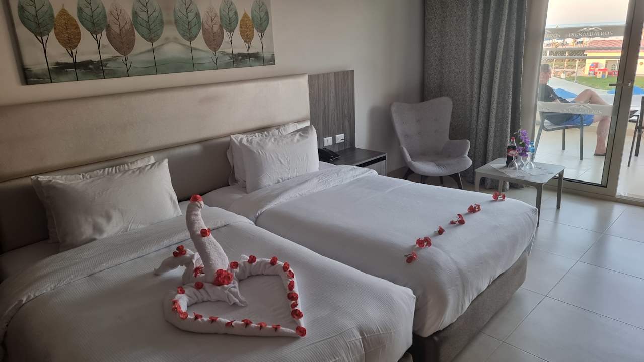 Zimmer Albatros Makadi Resort