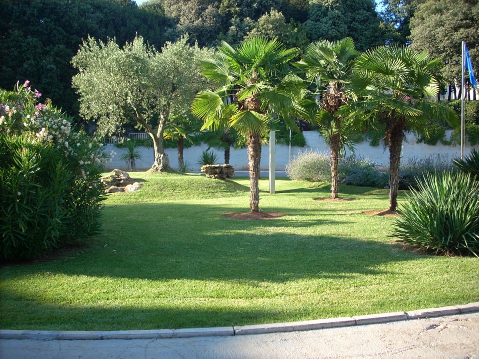 Vor dem Hotel Valamar Parentino Hotel