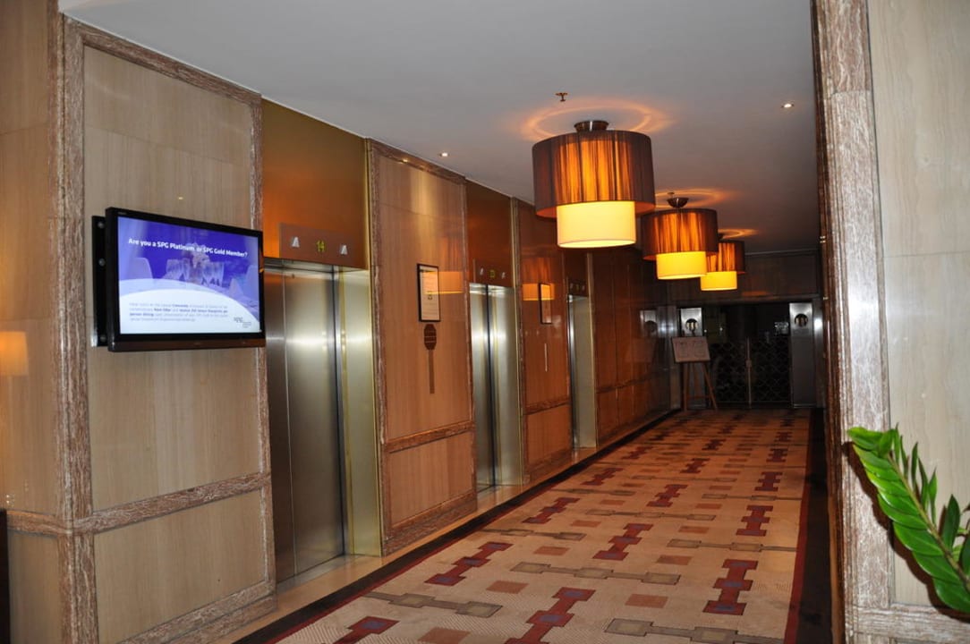 Ganz viele Aufzüge für insgesamt 30 Etagen Hotel Sheraton Brüssel