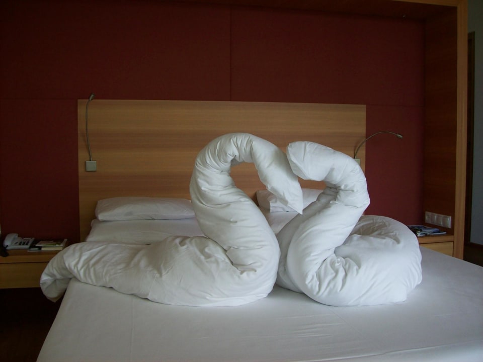 Schwäne Hotel Der Waldhof