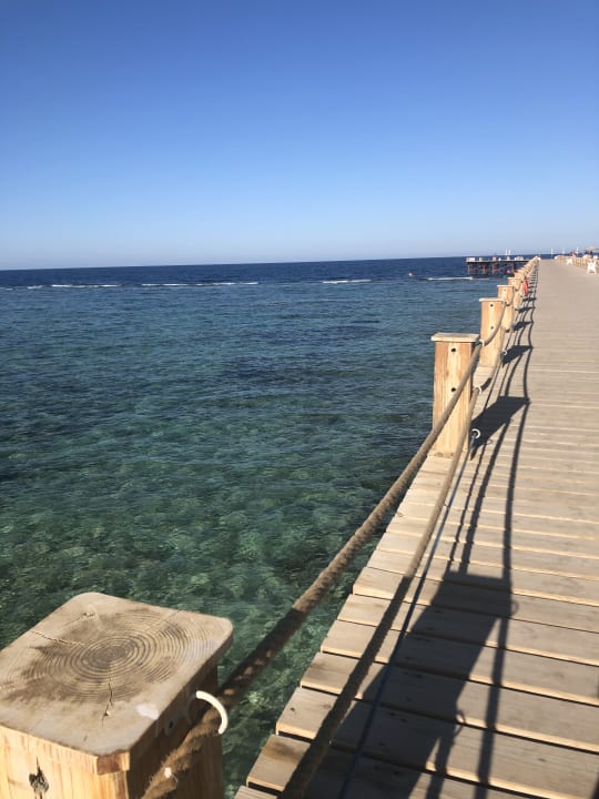 Strand Pickalbatros Sea World Resort - Marsa Alam