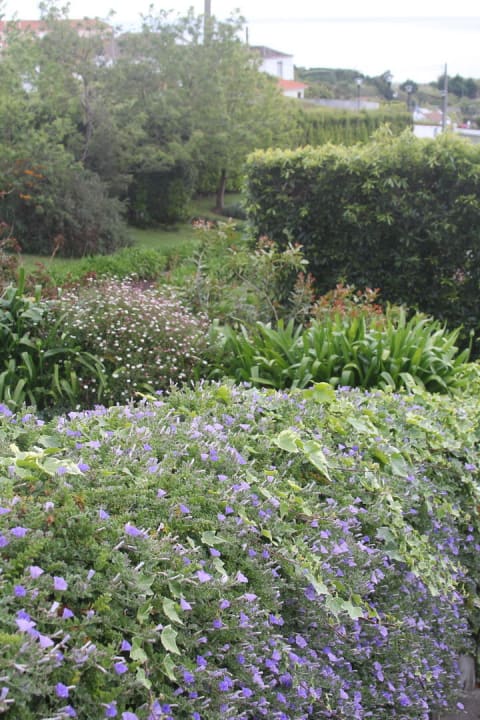 Garten The Lince Nordeste