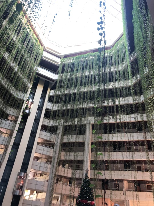 Außenansicht Blau varadero - Adults only