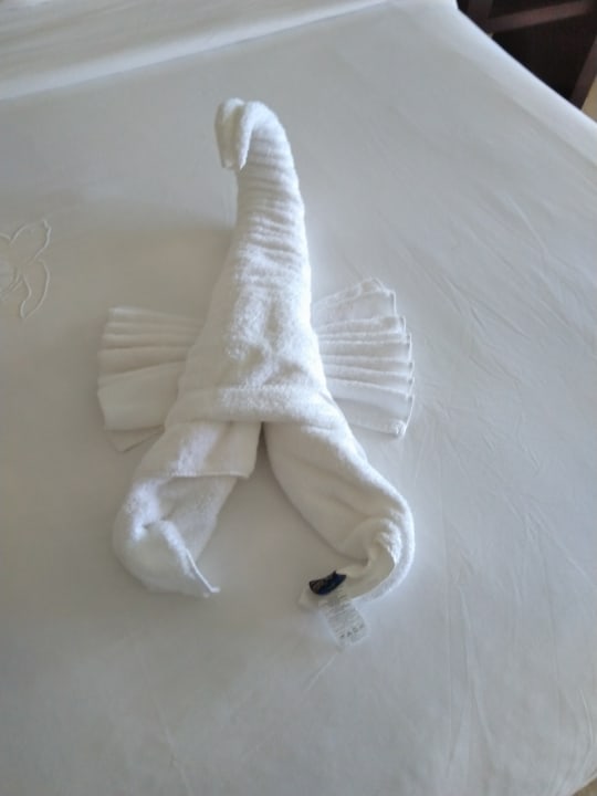 Zimmer Akumal Bay Beach & Wellness Resort