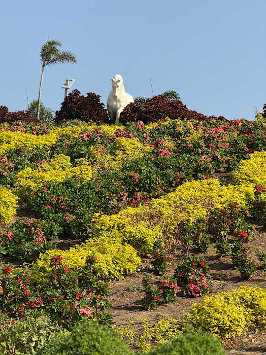 Außenansicht Pickalbatros Villaggio Resort - Portofino