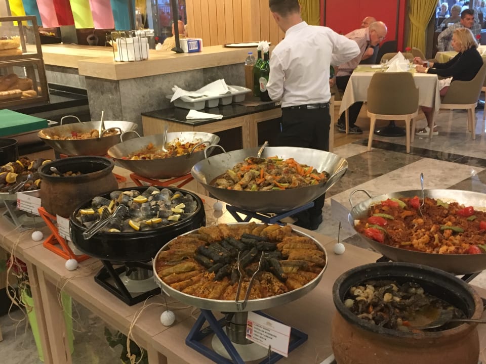 Gastro Seashell Vega