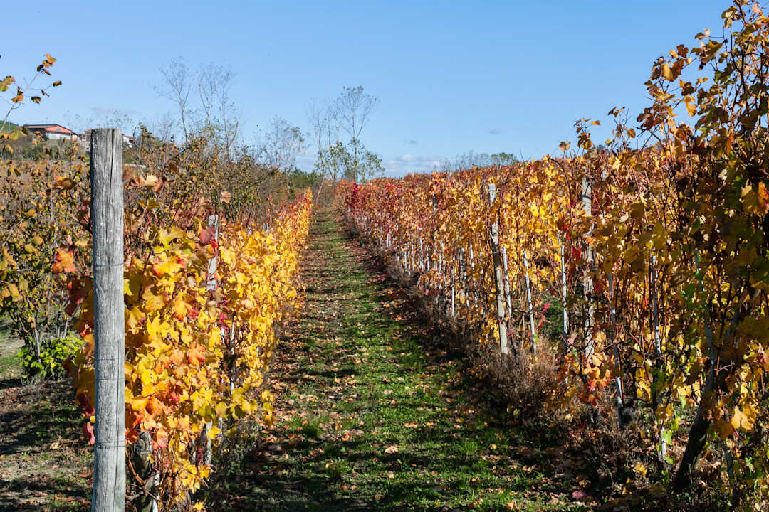 Außenansicht Agriturismo Bevione Davide